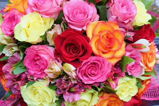842970 (a): :2400x1600